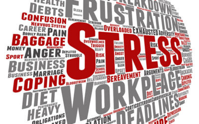 Stress: One of Four Key Leadership Issues of the Decade