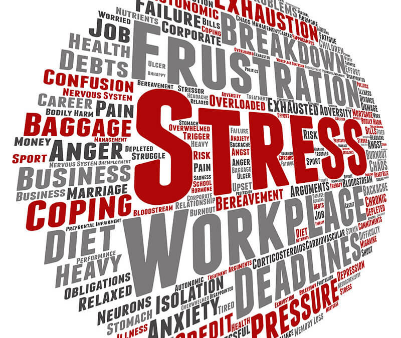 Stress: One of Four Key Leadership Issues of the Decade